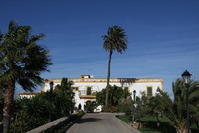 Son Manera Hotel Rural Montuïri Exteriér fotografie